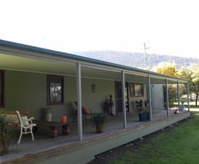 Rural / Farming commercial property sold at 597 Fishers Lane Young NSW 2594