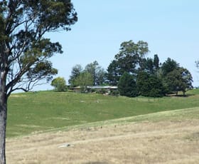 Rural / Farming commercial property sold at Candelo NSW 2550