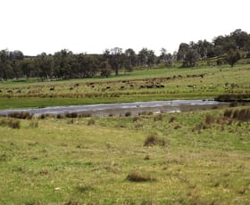 Rural / Farming commercial property sold at 1230 Bashan Road Victoria Valley TAS 7140