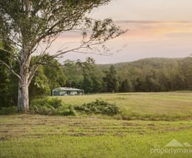 Rural / Farming commercial property sold at 1788 Dooralong Road Lemon Tree NSW 2259