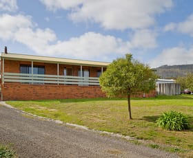 Rural / Farming commercial property sold at 291 Reservoir Road Harcourt VIC 3453