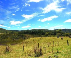 Rural / Farming commercial property sold at 181 Lindsay Rd Bentley NSW 2480