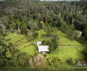 Rural / Farming commercial property sold at 81 Peach Orchard Road Ourimbah NSW 2258