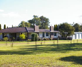 Rural / Farming commercial property sold at 68 Hermitage Road Belford NSW 2335