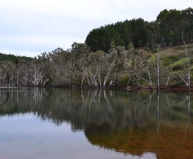 Rural / Farming commercial property sold at Lot 76 Hawterville Road Mullalyup WA 6252