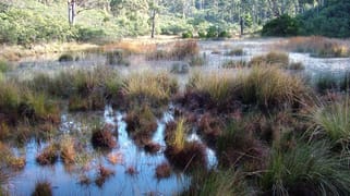 0 Swanston Road Swanston TAS 7120 0 Swanston Road Swanston TAS 7120