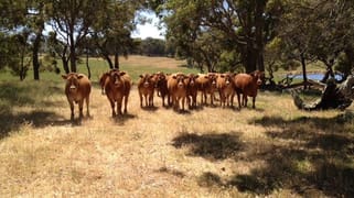 76 Mt Boyle Rd Kalgan WA 6330 76 Mt Boyle Rd Kalgan WA 6330
