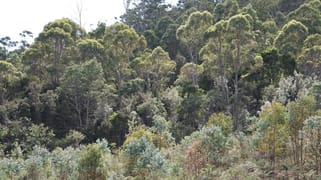 Lot 1 Dilgers Road Mathinna TAS 7214 Lot 1 Dilgers Road Mathinna TAS 7214
