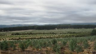 245 Deepdene Road Birregurra VIC 3242 245 Deepdene Road Birregurra VIC 3242