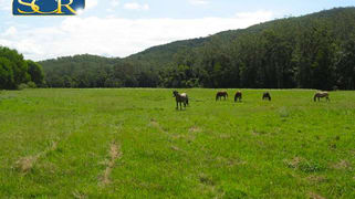 539 Cedar Creek Road Belli Park QLD 4562 539 Cedar Creek Road Belli Park QLD 4562