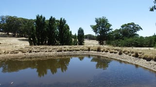 1195 Euroa Strathbogie Road Kelvin View Euroa VIC 3666 1195 Euroa Strathbogie Road Kelvin View Euroa VIC 3666