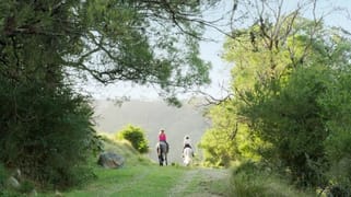 380 Cedar Hills Road Little Forest NSW 2538 380 Cedar Hills Road Little Forest NSW 2538