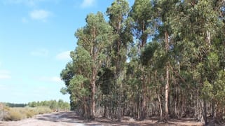 Boyup Brook WA 6244 Boyup Brook WA 6244