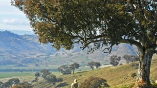 79 South Street Gundagai NSW 2722 79 South Street Gundagai NSW 2722