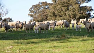 1159 Binda Road Crookwell NSW 2583 1159 Binda Road Crookwell NSW 2583