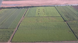 562 Kirknie Road Osborne QLD 4806 562 Kirknie Road Osborne QLD 4806