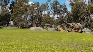 Lot 203/165 Decastilla Road Clackline WA 6564 Lot 203/165 Decastilla Road Clackline WA 6564