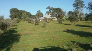 55 KALLORA ROAD Bowmans SA 5550 55 KALLORA ROAD Bowmans SA 5550