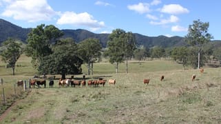 515 Little Widgee Road Widgee QLD 4570 515 Little Widgee Road Widgee QLD 4570