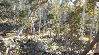 Lot 49 "The High Forest" Mount Clear Bredbo NSW 2626 Lot 49 "The High Forest" Mount Clear Bredbo NSW 2626
