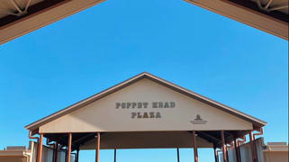 17 Cavey Court Queenton QLD 4820