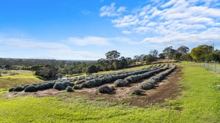 Farm 610 Bells Line of Road Kurmond NSW 2757 Farm 610 Bells Line of Road Kurmond NSW 2757