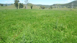 Part Killarney Halls creek Rd Manilla NSW 2346