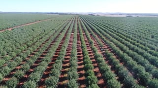 1648 Boorga Road Tabbita NSW 2652