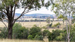 Gayndah Cattle Country/232 Pile Gully Road Pile Gully QLD 4625