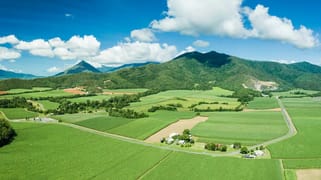 57 Hussey Road Mount Peter QLD 4869