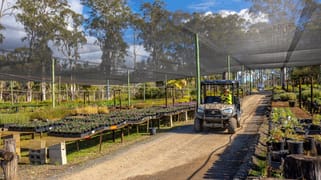 159 Bull Hill Road Tinonee NSW 2430