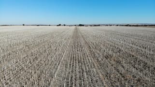 Lot 519 Nine Mile Road Angas Plains SA 5255