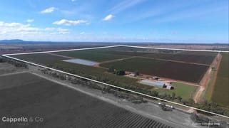 3990 Irrigation Way Widgelli NSW 2680