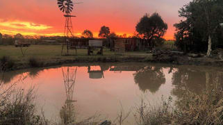 53 Cane Farm Rd Alberton QLD 4207