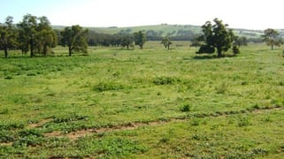 Duffy's Farm Mooliabeenee Road Gingin WA 6503