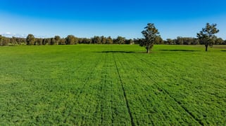 126 Kneebones Road Wagga Wagga NSW 2650