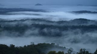 110 Top Yard Road Wamuran Basin QLD 4512