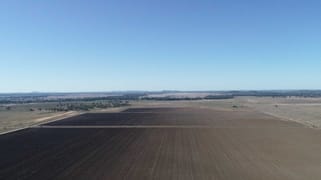 Borambil Station, Lachlan Valley Way Condobolin NSW 2877