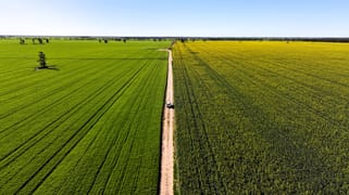 Terlings Newell Highway Moree NSW 2400