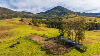 4441 Nowendoc Road Number One NSW 2424