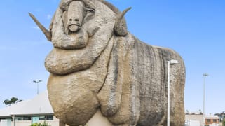 The Big Merino - Regional Tourism & Retail Busines Goulburn NSW 2580