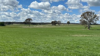 Ivanhoe Little Plains Road Boorowa NSW 2586