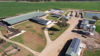 Silvermere Holsteins Forbes Road Cowra NSW 2794