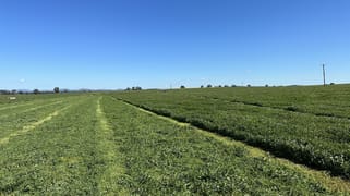 Maybank, Roachdale Road Holbrook NSW 2644