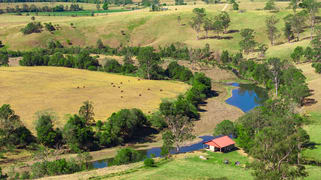 Toms Creek Road Ellenborough NSW 2446