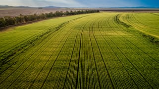 'Garawah' & 'Booligal' Blackville NSW 2343