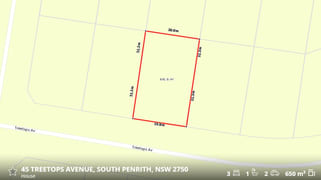 45 Treetops Avenue South Penrith NSW 2750