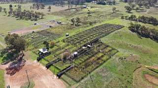 16 - 25 Saleyards Road Walcha NSW 2354