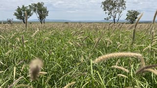 663 Tango Road Alpha QLD 4724 663 Tango Road Alpha QLD 4724