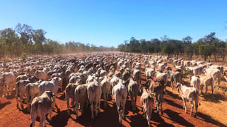 0 Gulf Developmental Road Croydon QLD 4871 0 Gulf Developmental Road Croydon QLD 4871